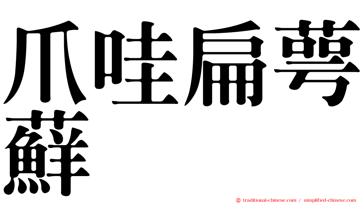 爪哇扁萼蘚