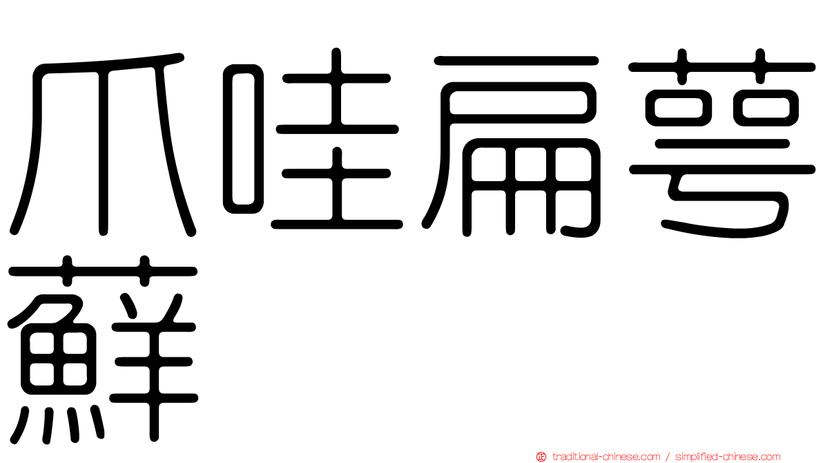 爪哇扁萼蘚