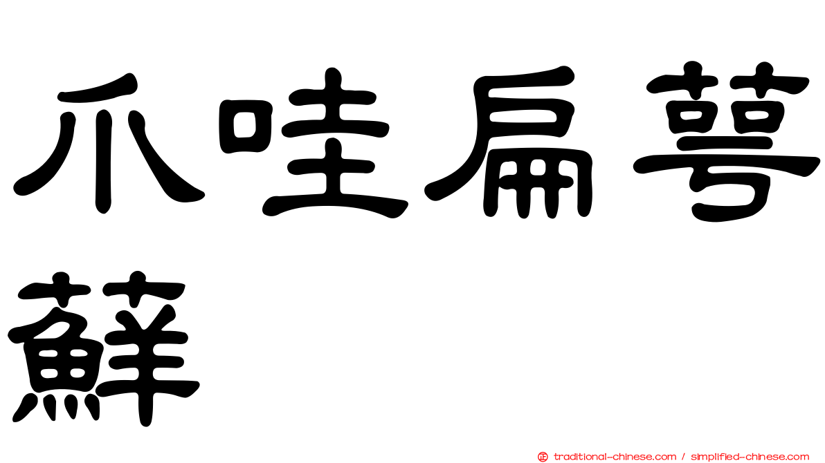 爪哇扁萼蘚
