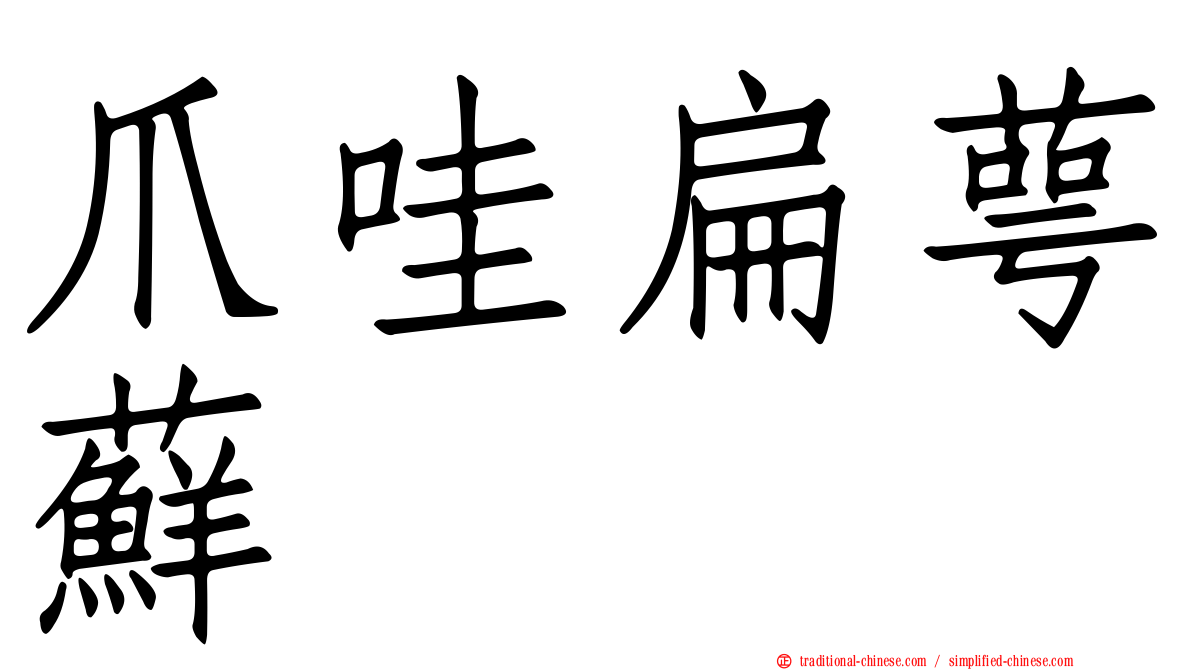 爪哇扁萼蘚