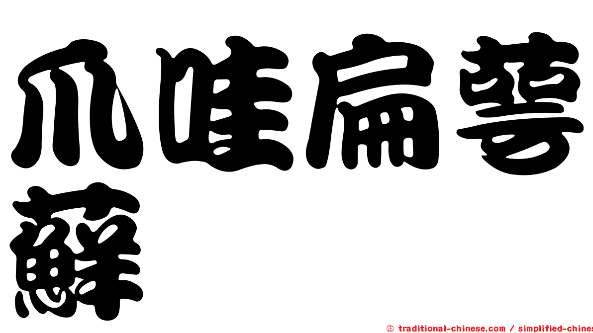爪哇扁萼蘚