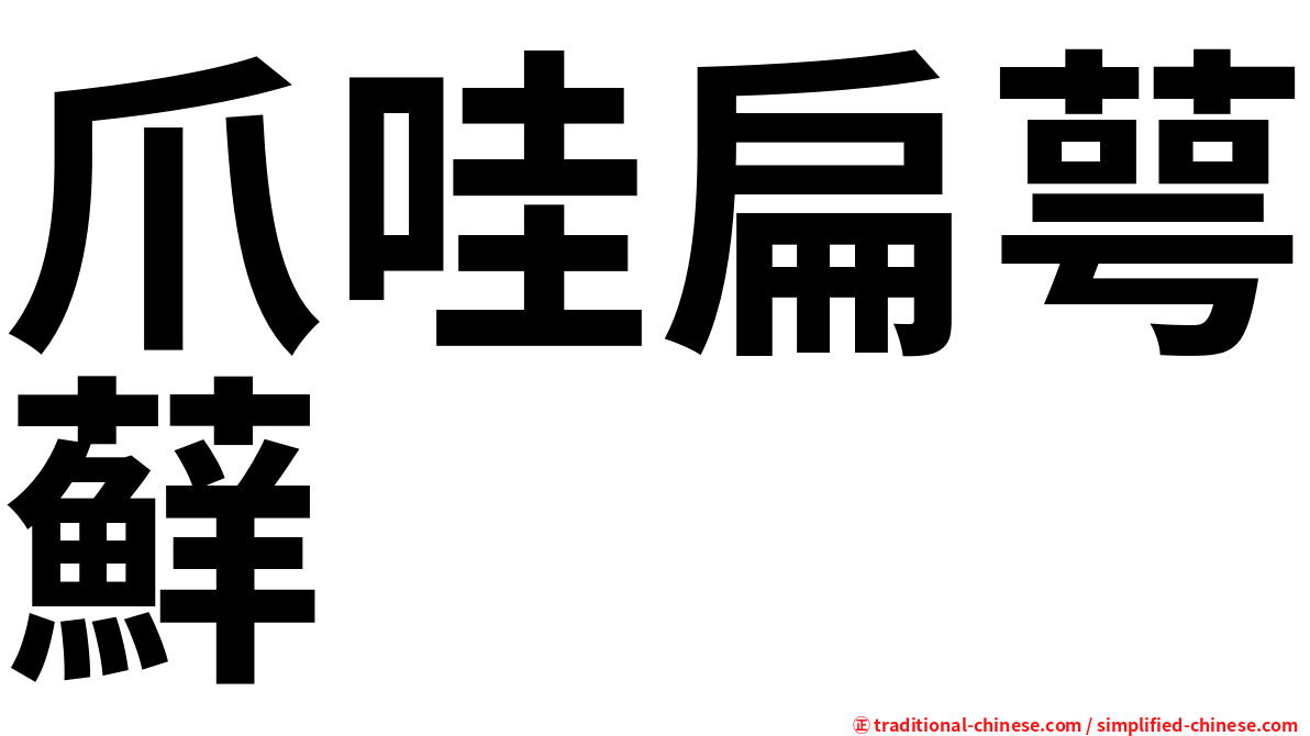 爪哇扁萼蘚