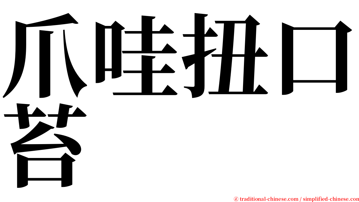 爪哇扭口苔 serif font