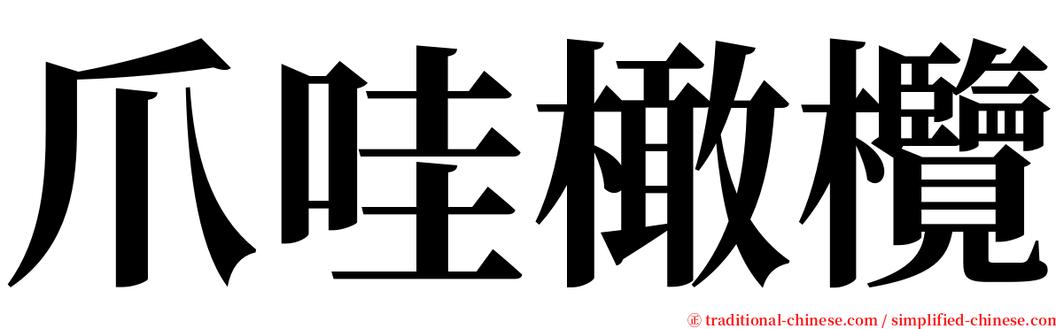 爪哇橄欖 serif font