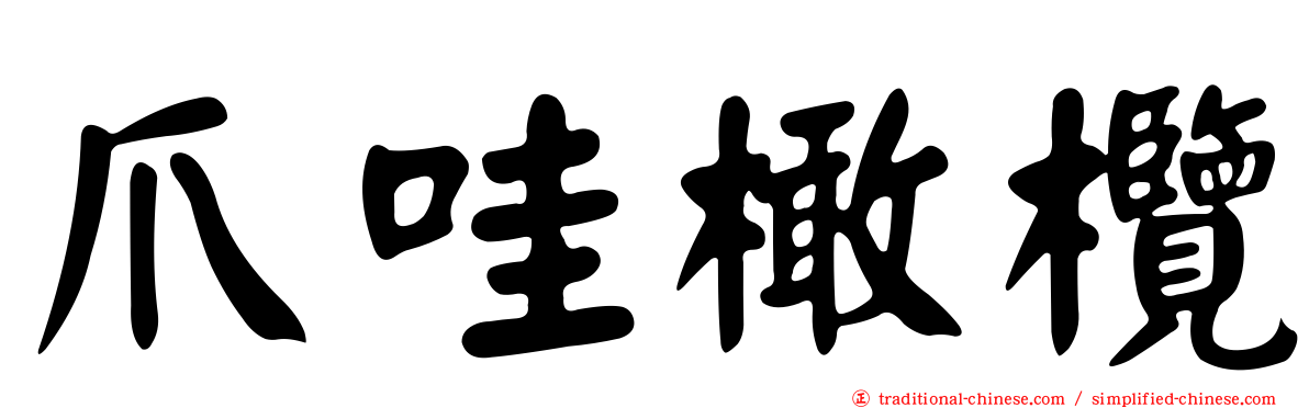 爪哇橄欖