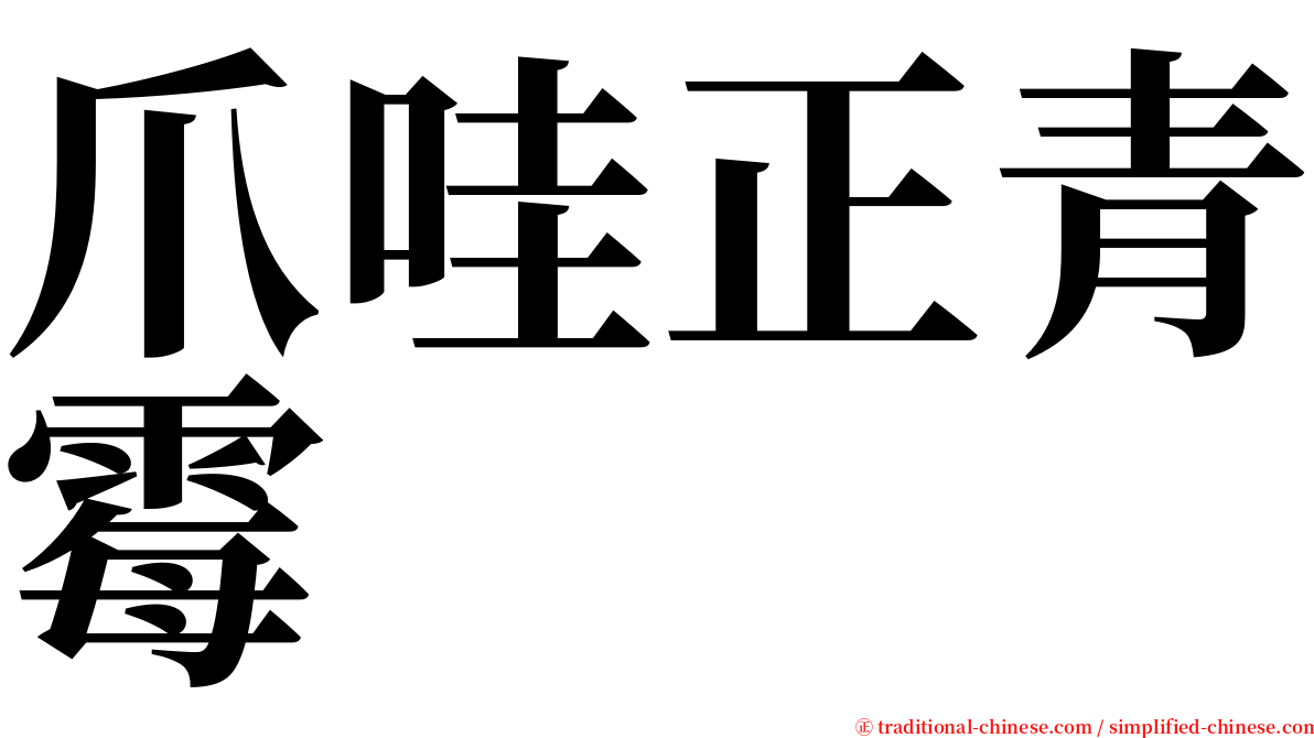 爪哇正青霉 serif font
