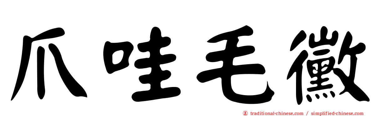 爪哇毛黴