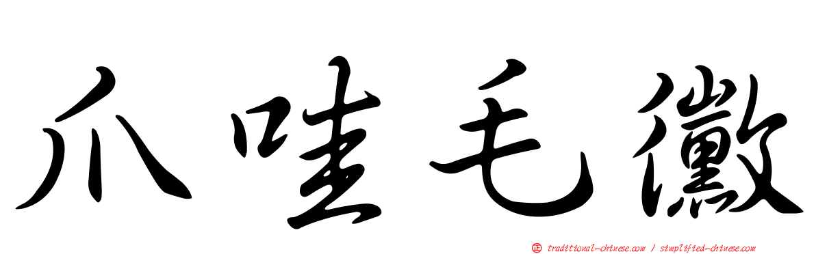 爪哇毛黴