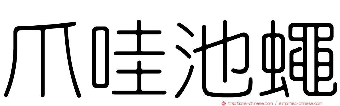 爪哇池蠅