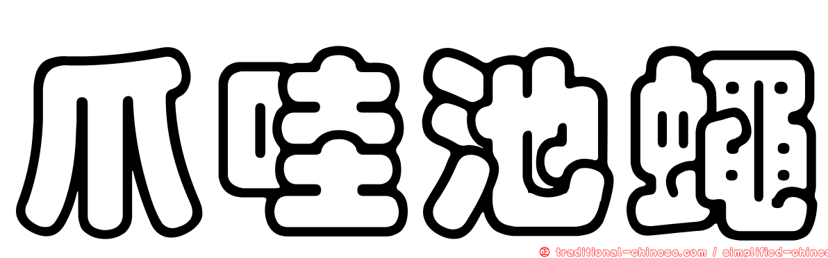 爪哇池蠅