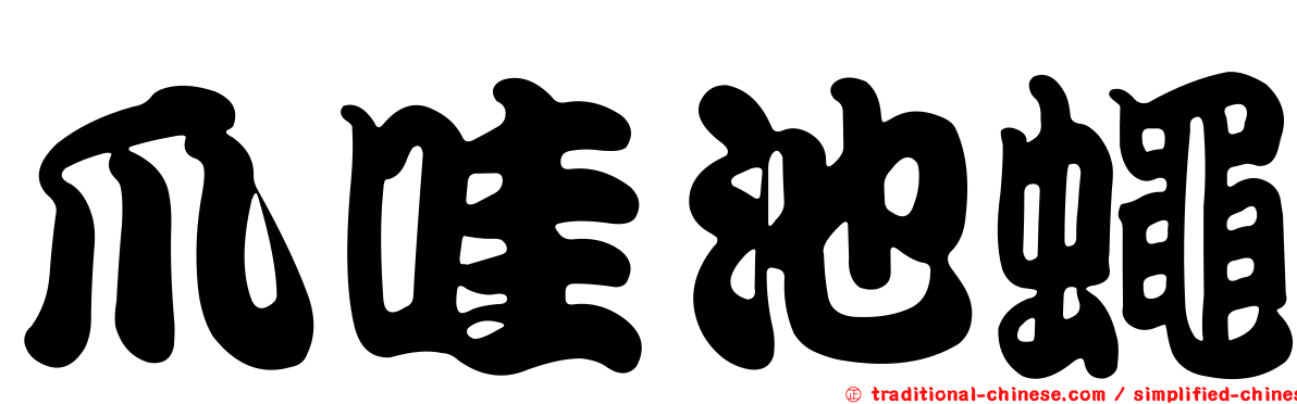 爪哇池蠅
