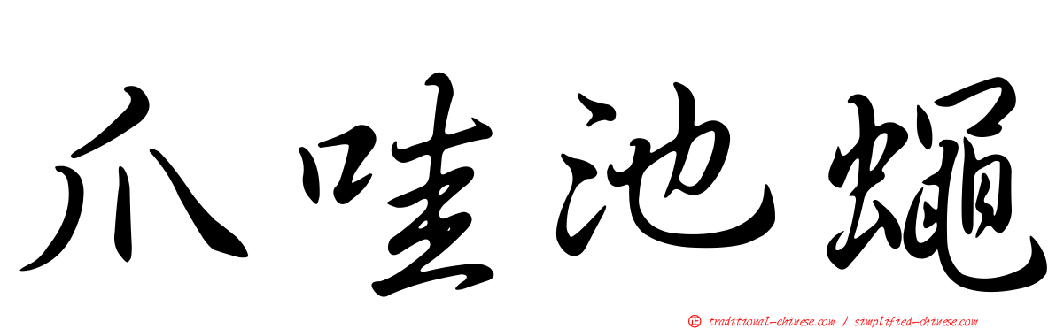 爪哇池蠅