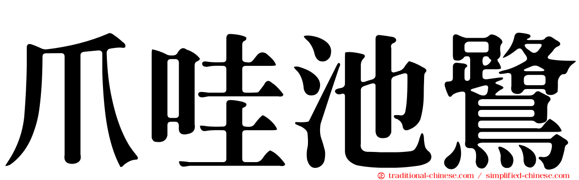 爪哇池鷺