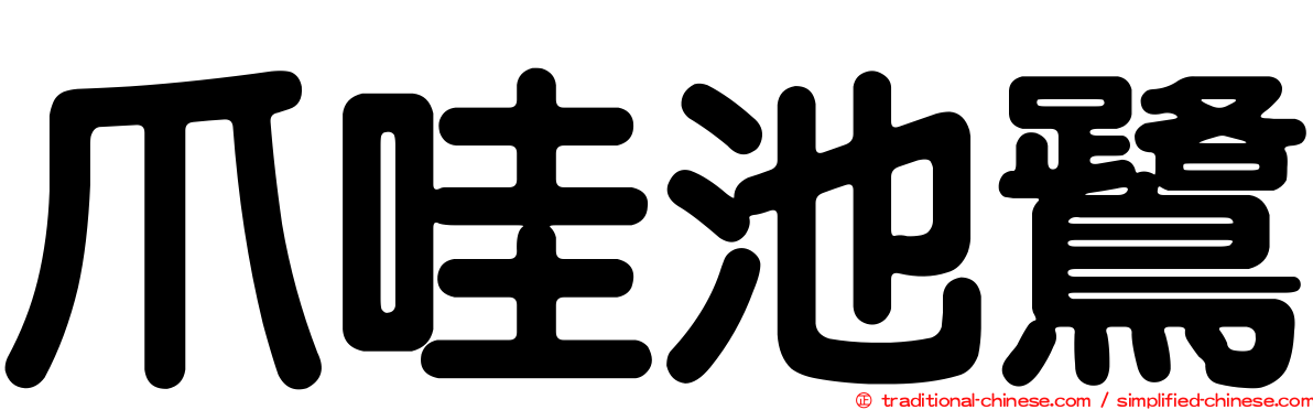 爪哇池鷺