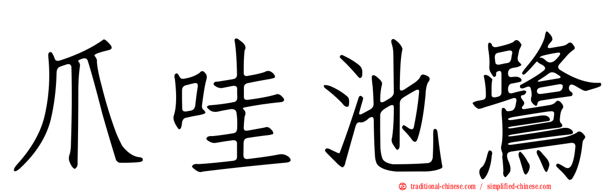 爪哇池鷺
