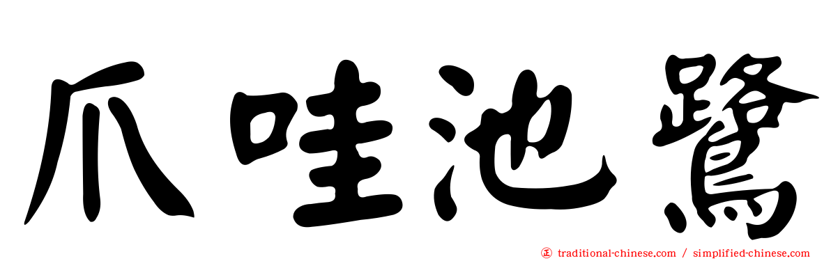 爪哇池鷺