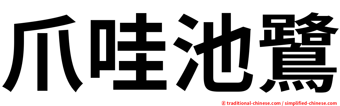 爪哇池鷺