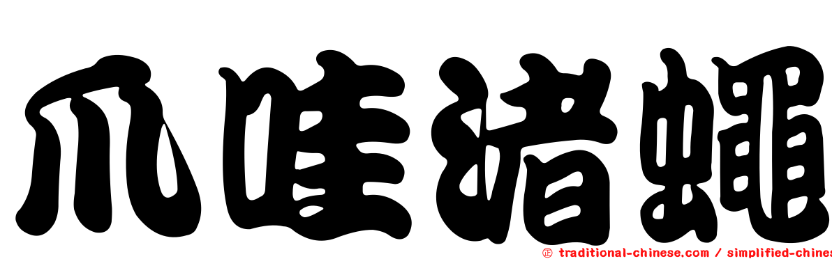 爪哇渚蠅