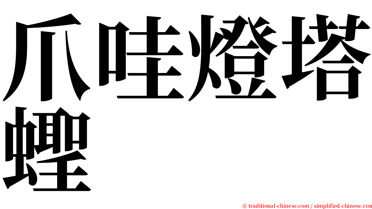 爪哇燈塔蟶 serif font