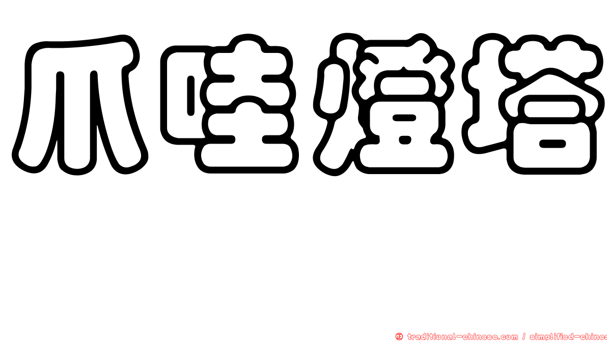 爪哇燈塔蟶