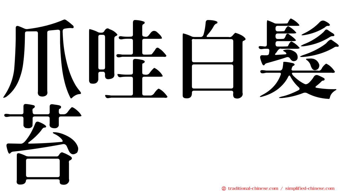 爪哇白髮苔
