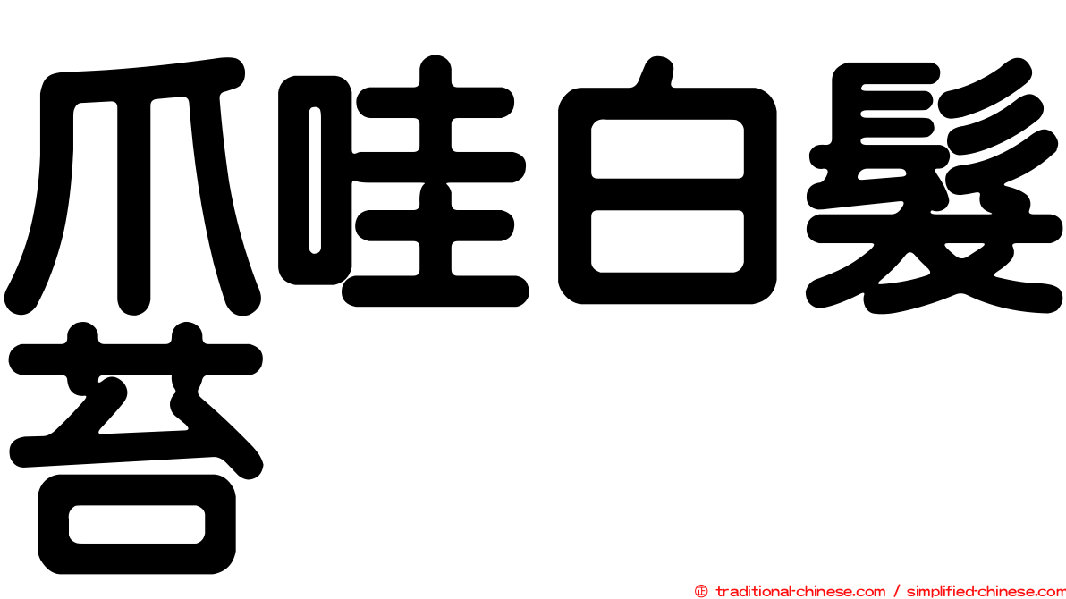 爪哇白髮苔