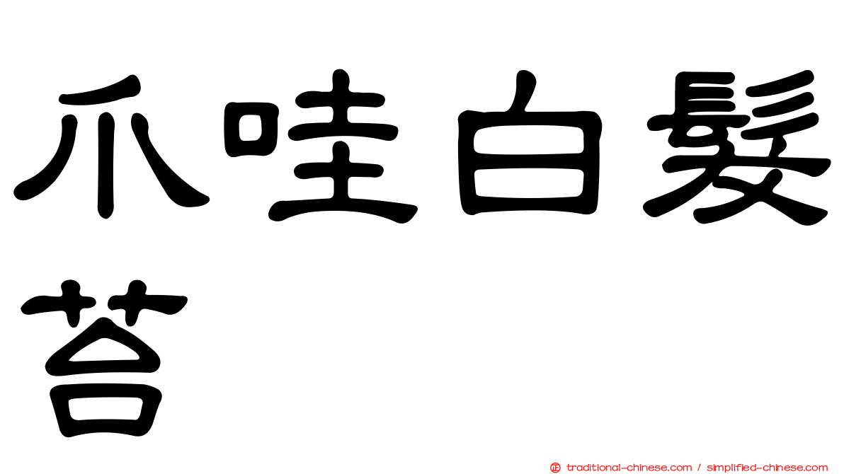 爪哇白髮苔