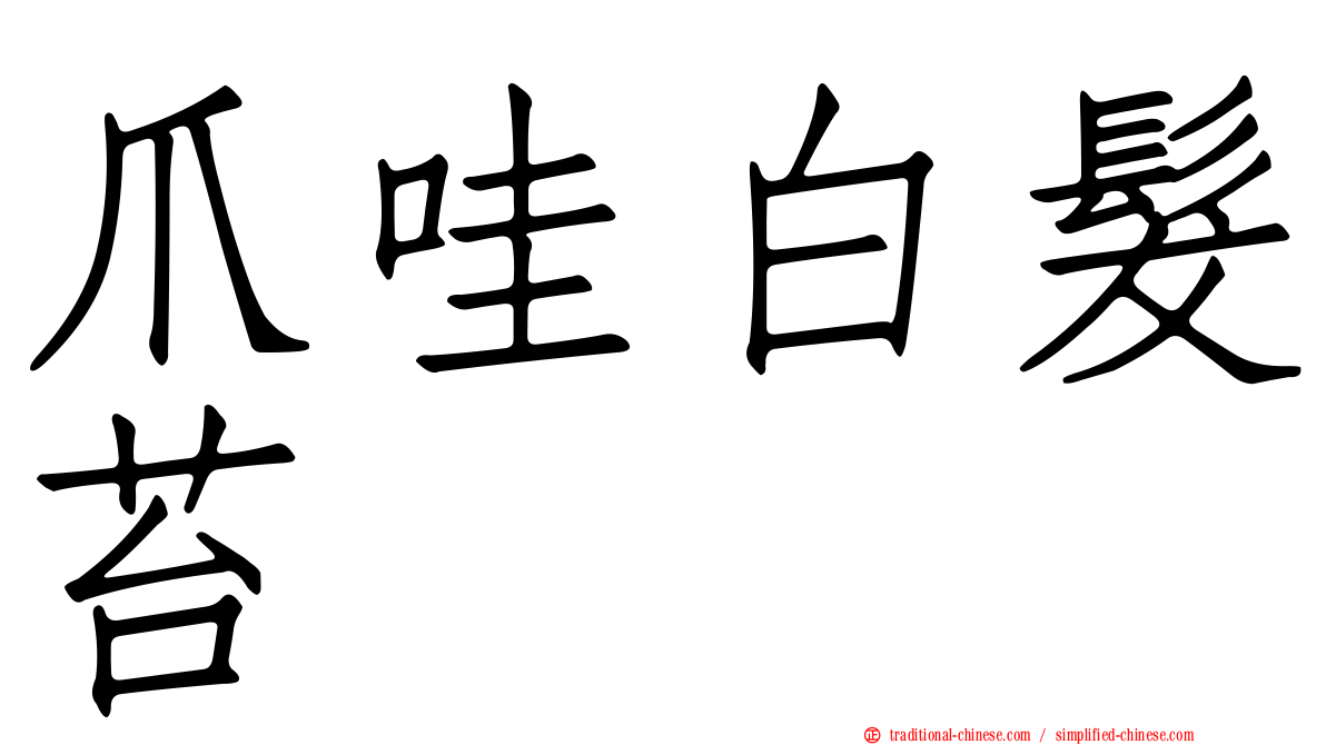 爪哇白髮苔