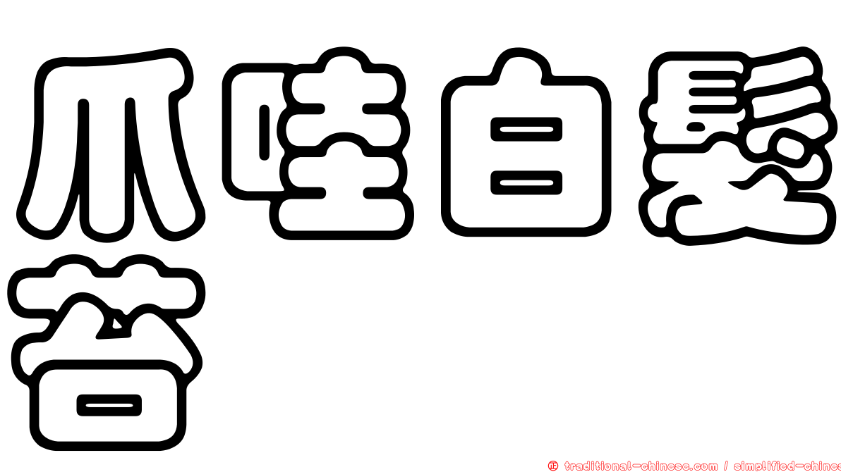 爪哇白髮苔