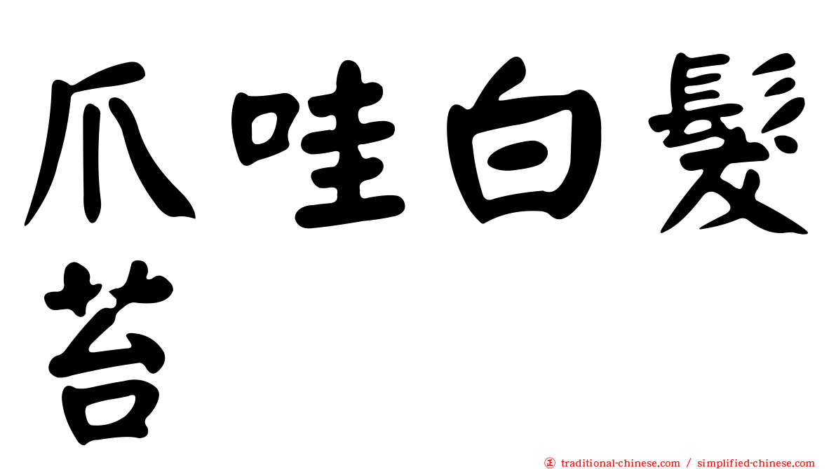 爪哇白髮苔