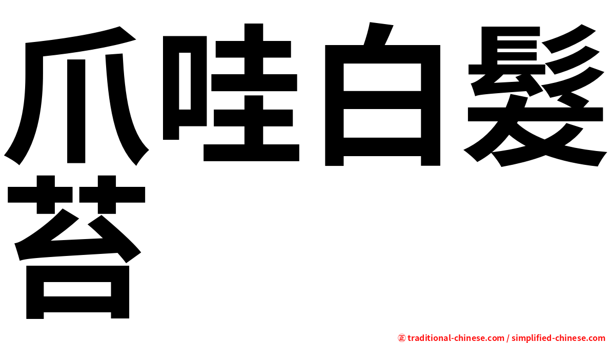 爪哇白髮苔