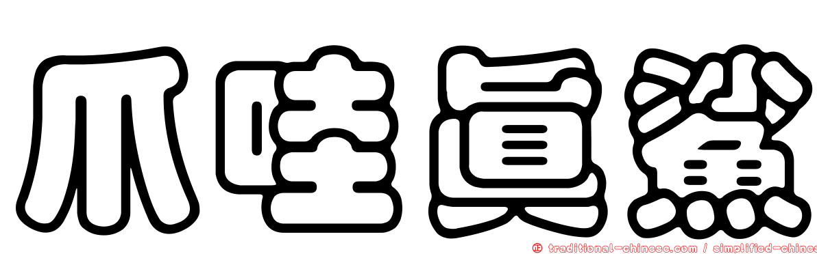 爪哇真鯊