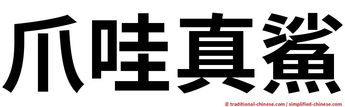爪哇真鯊