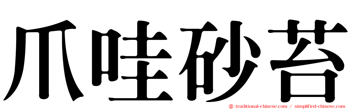 爪哇砂苔