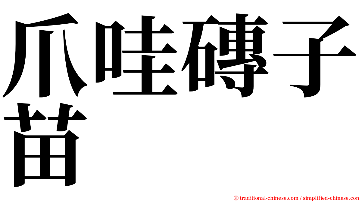 爪哇磚子苗 serif font