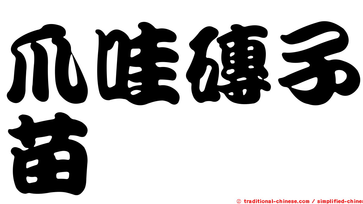爪哇磚子苗