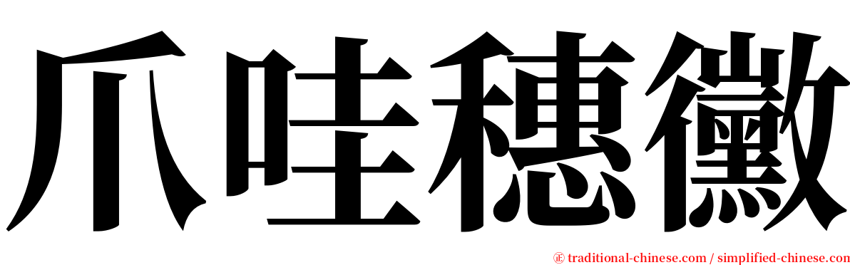 爪哇穗黴 serif font