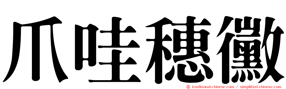 爪哇穗黴