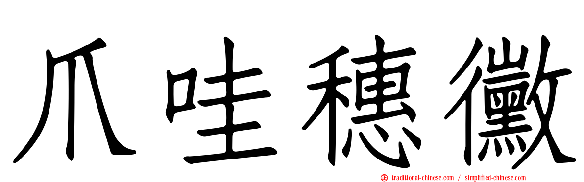 爪哇穗黴