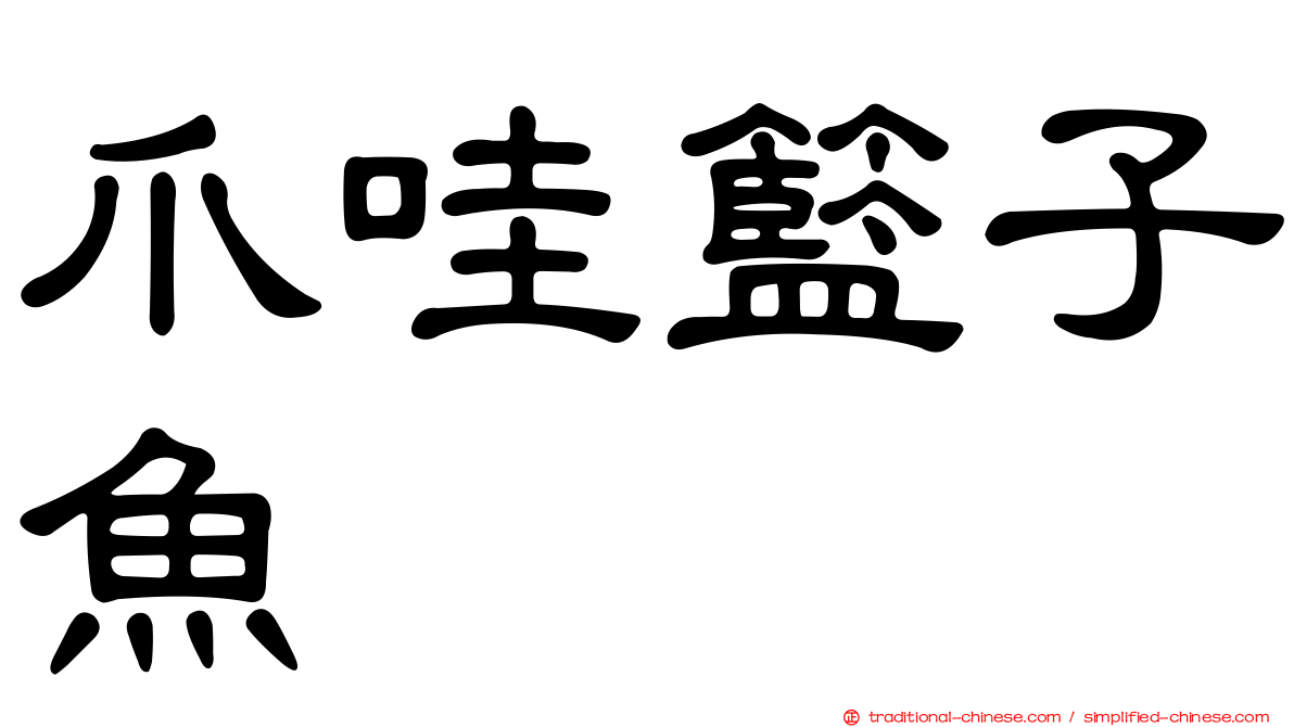 爪哇籃子魚