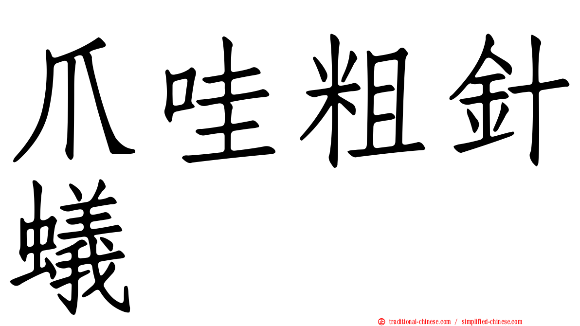 爪哇粗針蟻