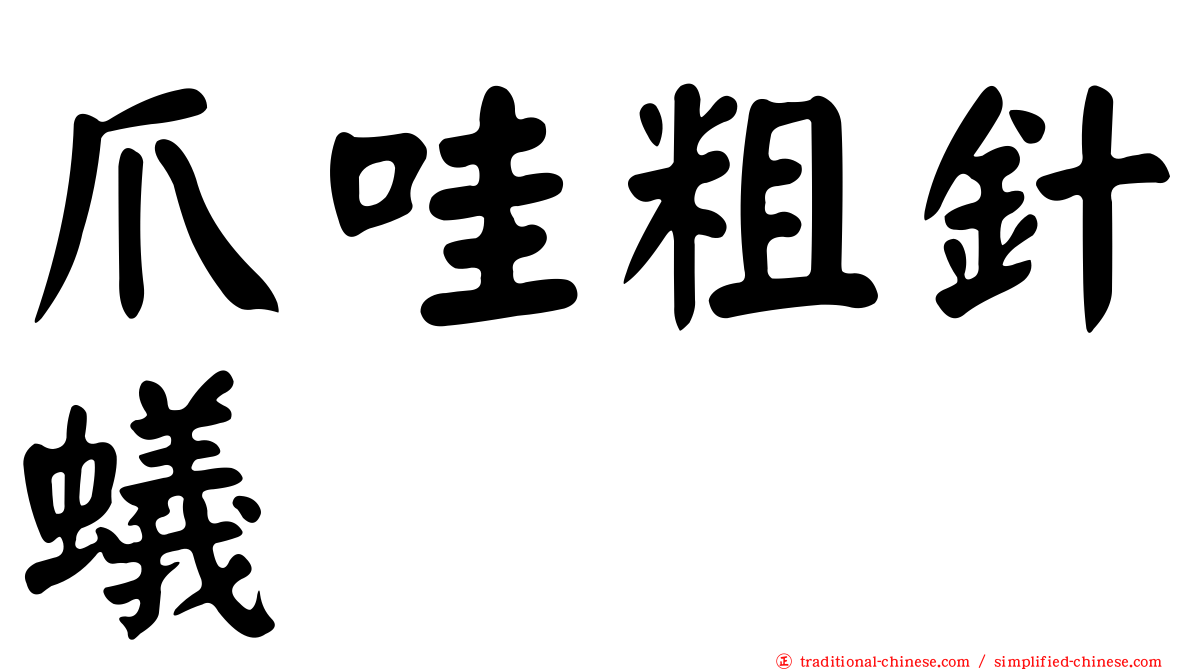 爪哇粗針蟻