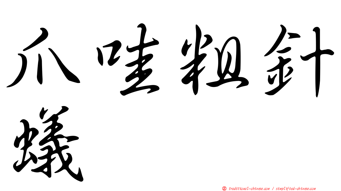 爪哇粗針蟻