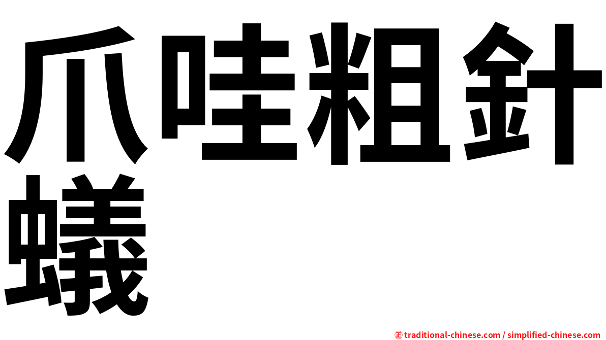 爪哇粗針蟻