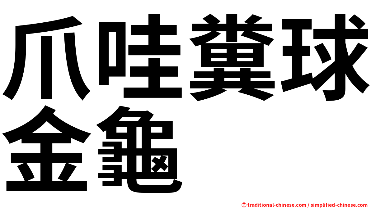 爪哇糞球金龜