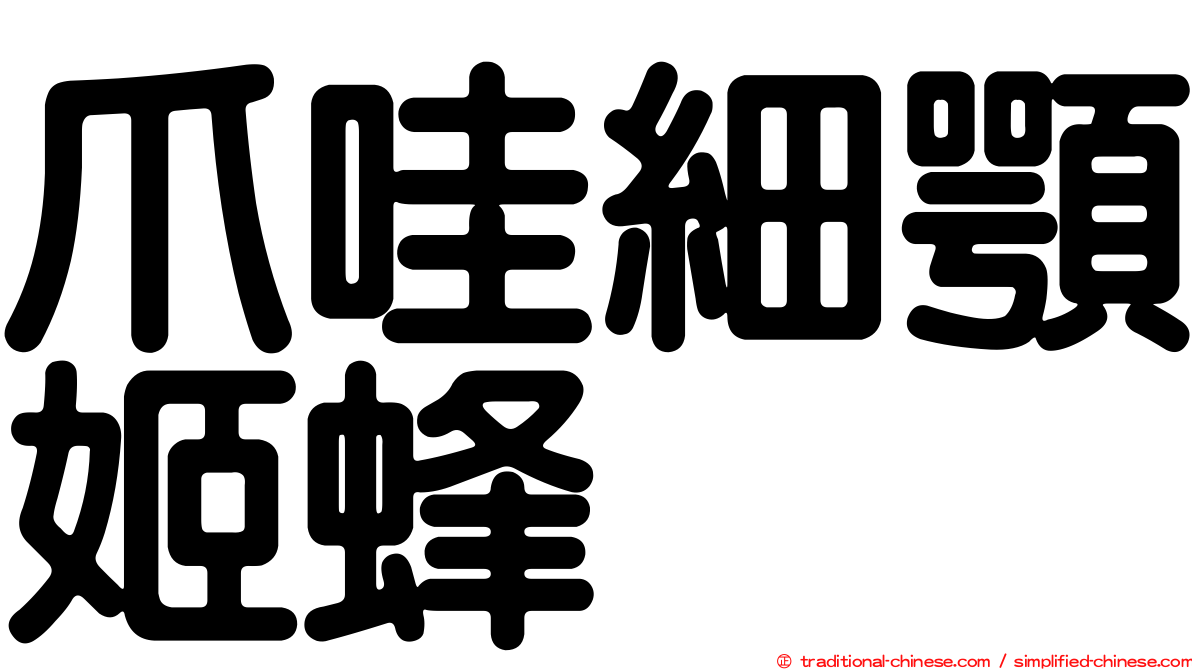 爪哇細顎姬蜂