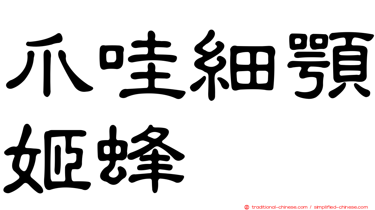 爪哇細顎姬蜂