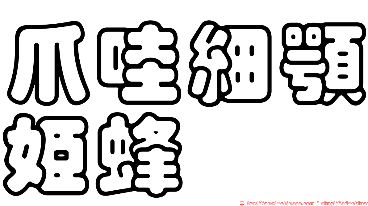 爪哇細顎姬蜂