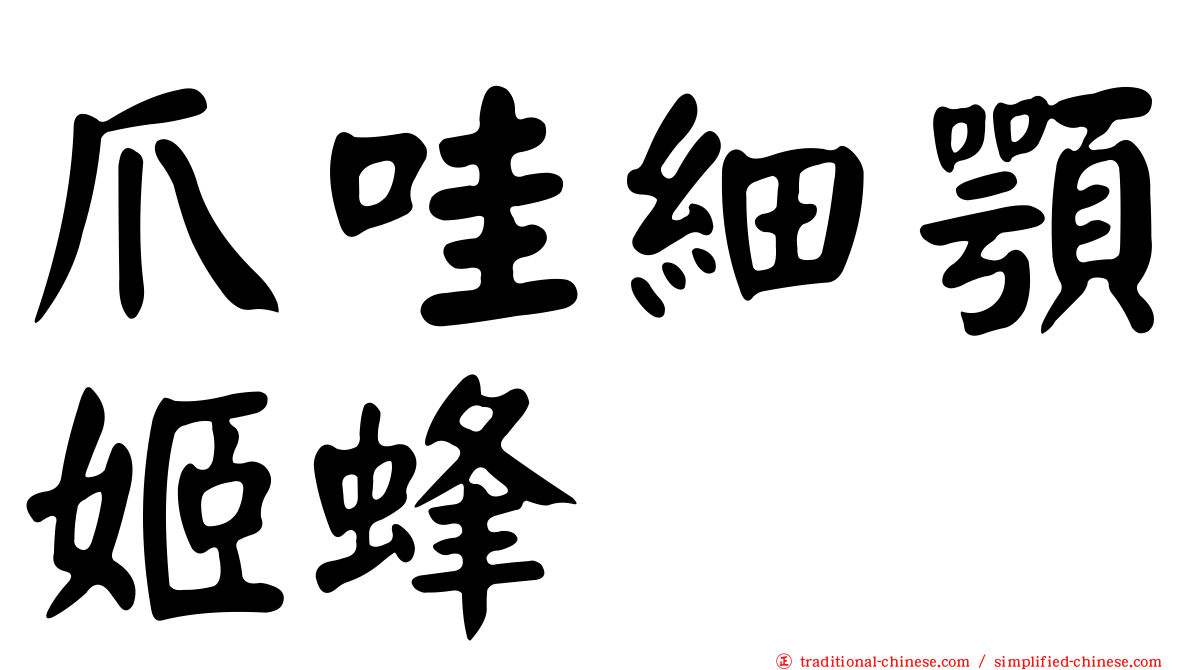 爪哇細顎姬蜂