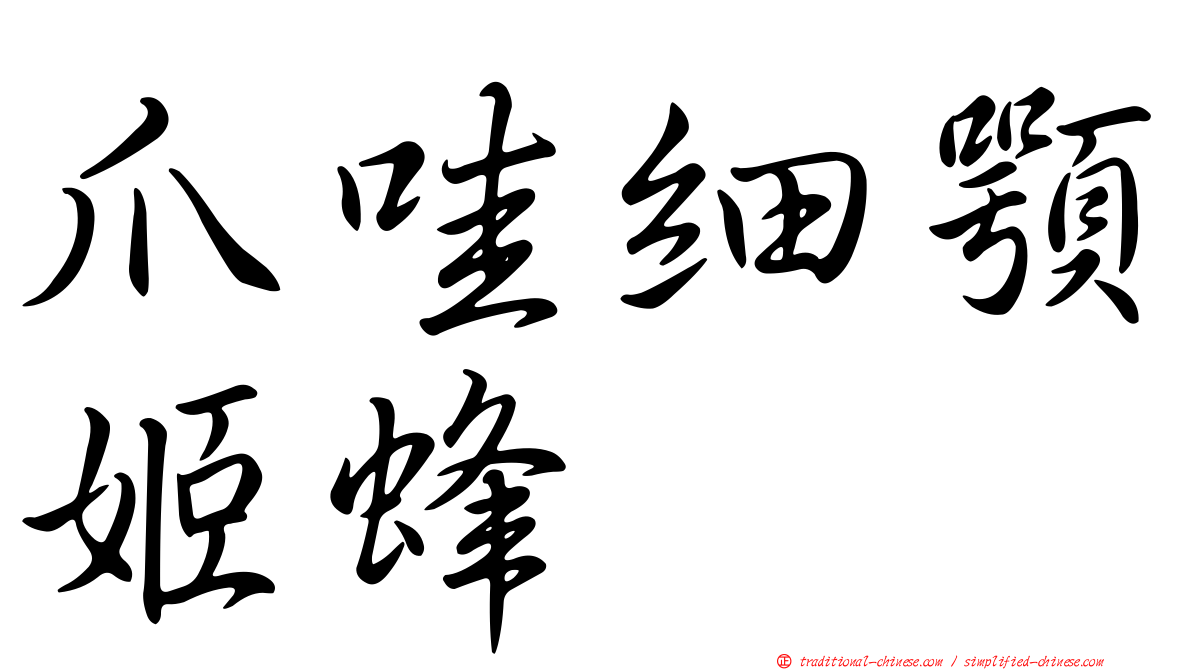 爪哇細顎姬蜂